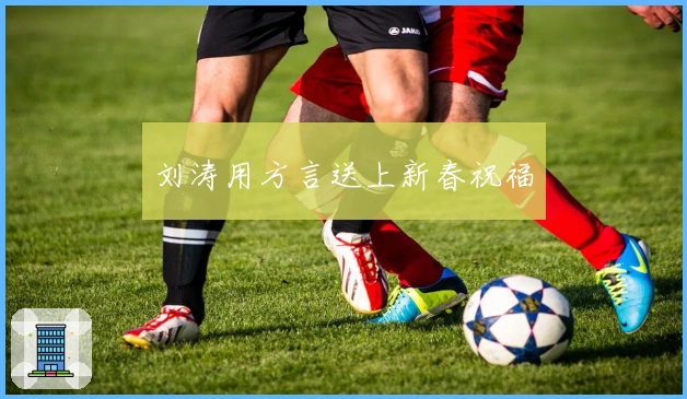 刘涛用方言送上新春祝福