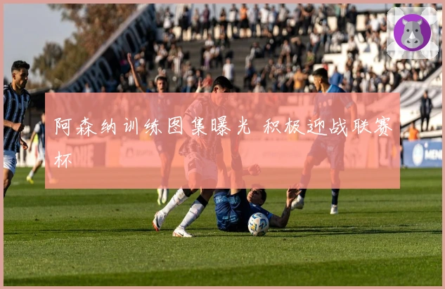 阿森纳训练图集曝光 积极迎战联赛杯