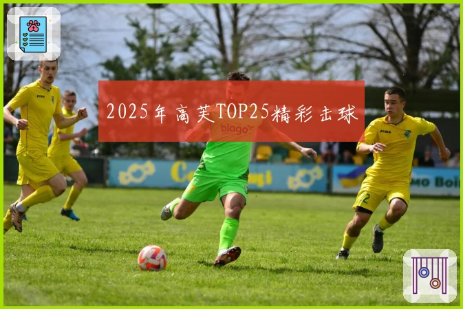 2025年高芙TOP25精彩击球